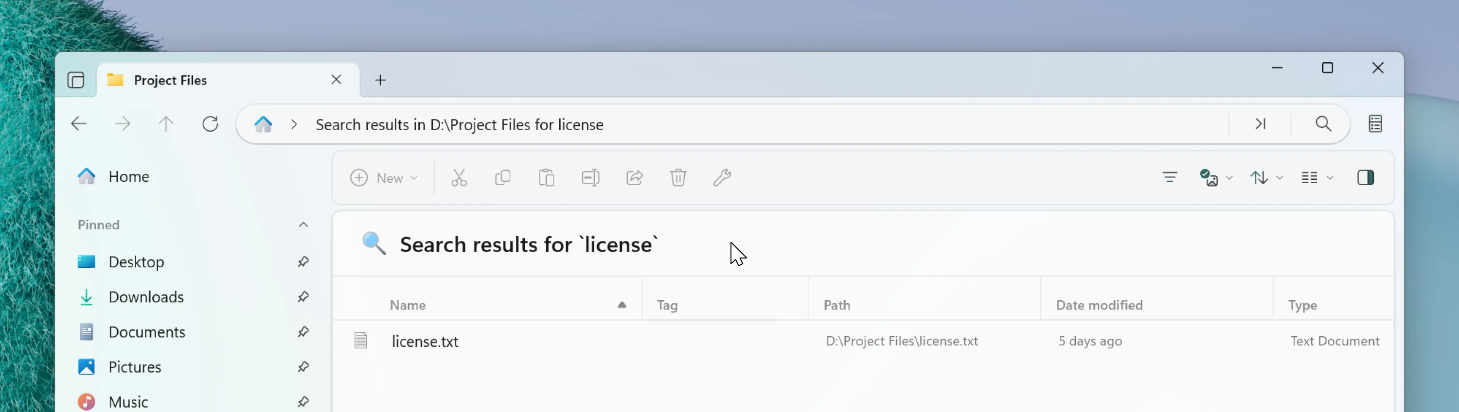Search header