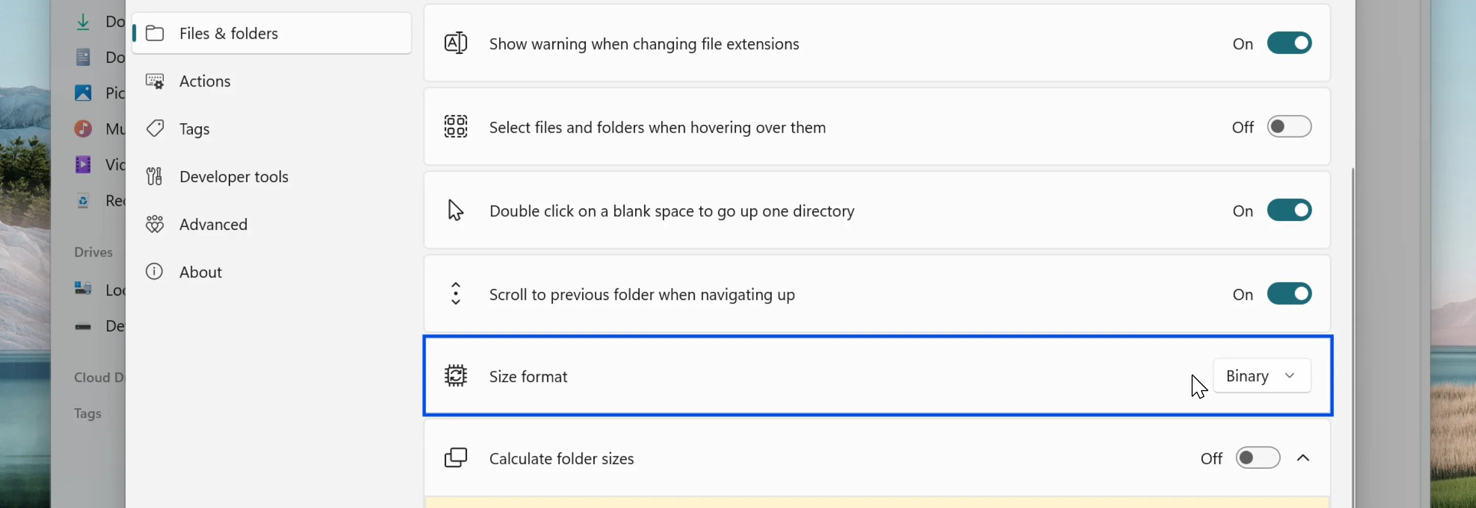 Size format setting