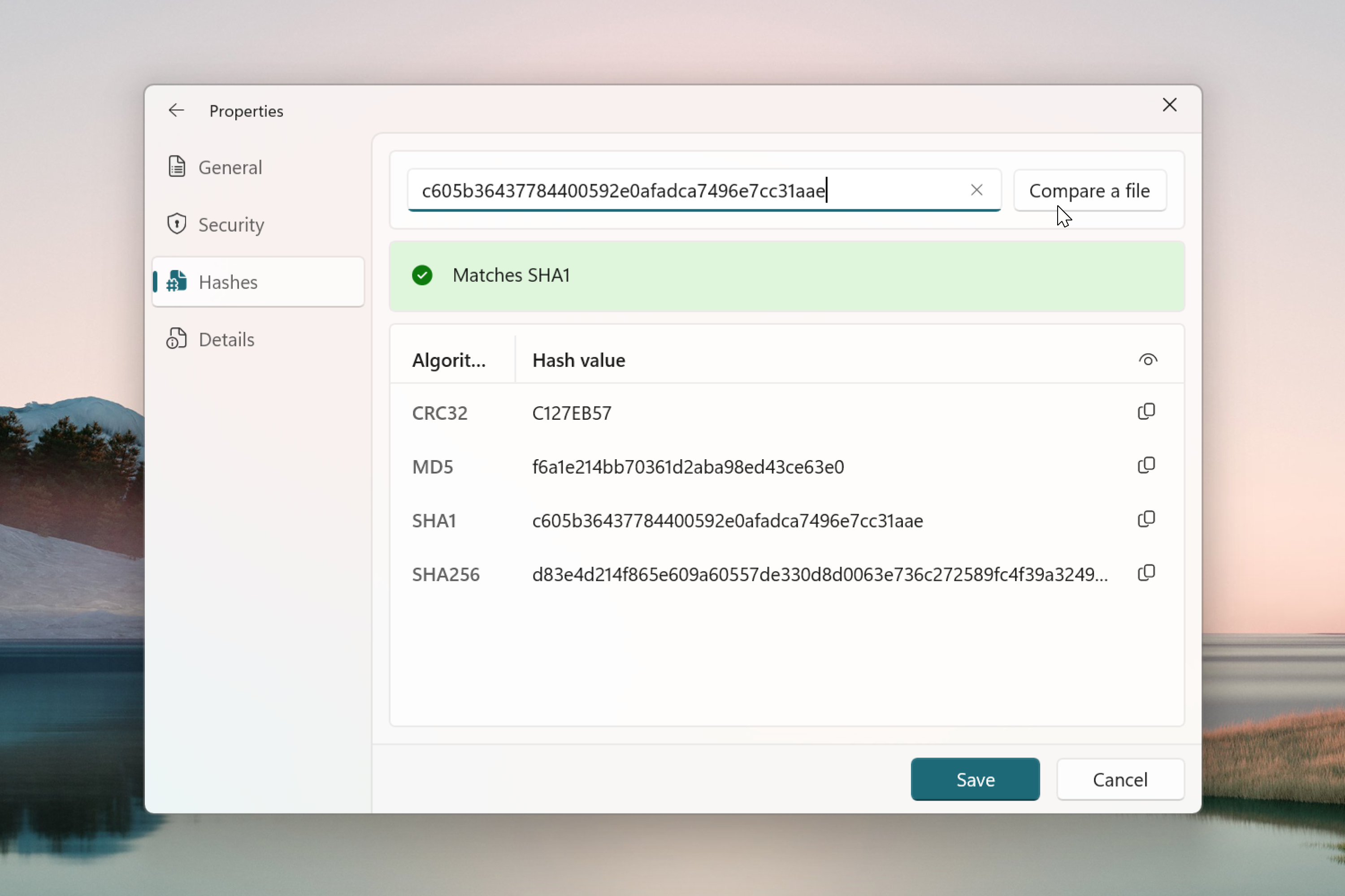 Hash comparison feature